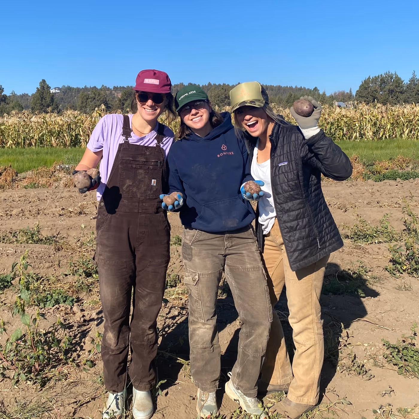 Three teammates in a harvested field